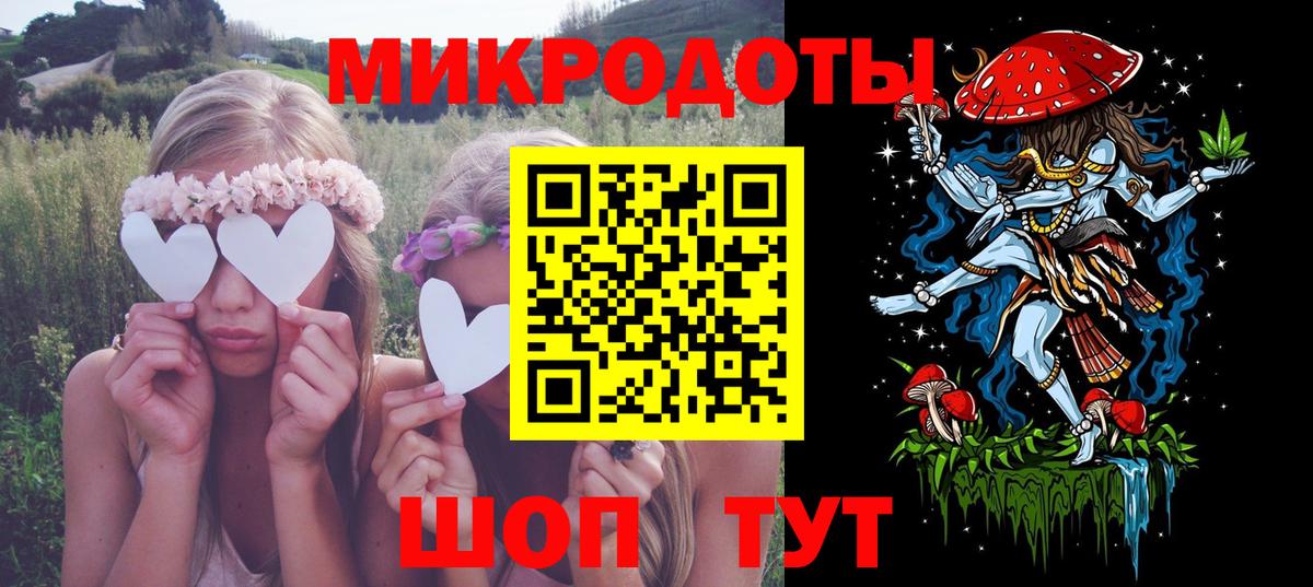 Псилоцибиновые грибы Cubensis Новокубанск