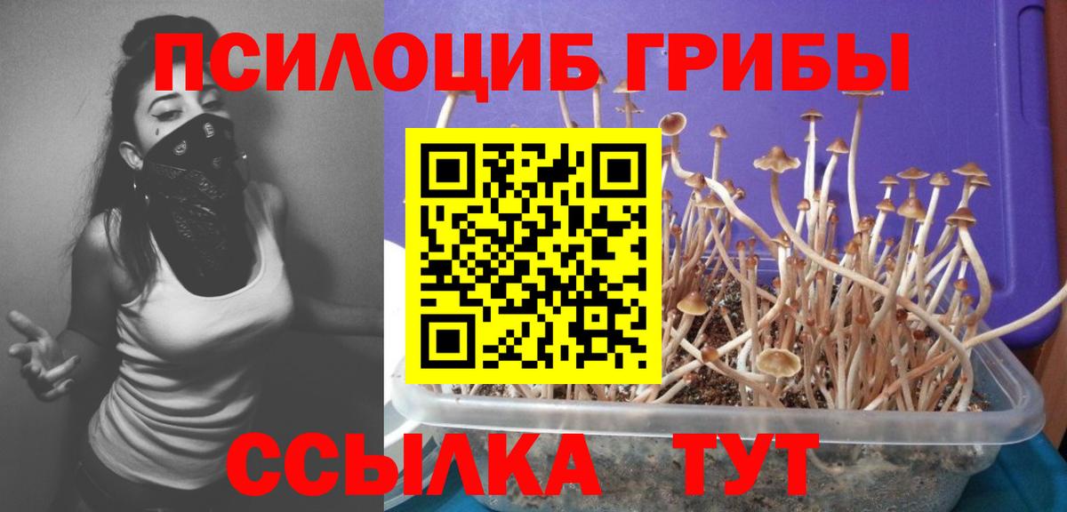 Галлюциногенные грибы Magic Shrooms  Галлюциногенные грибы Psilocybine cubensis  Вход с VPN  Новокубанск 